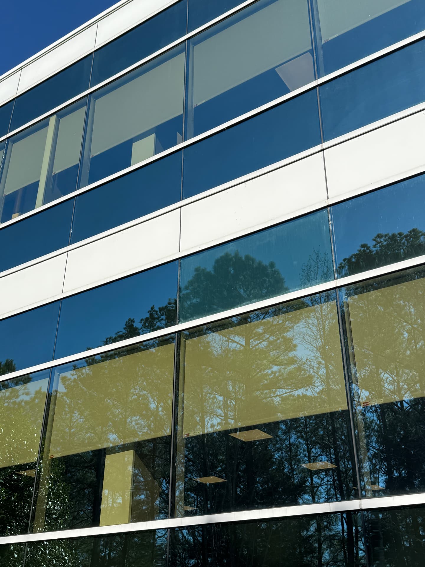 Close view of a cleaned blue and gold curtain wall